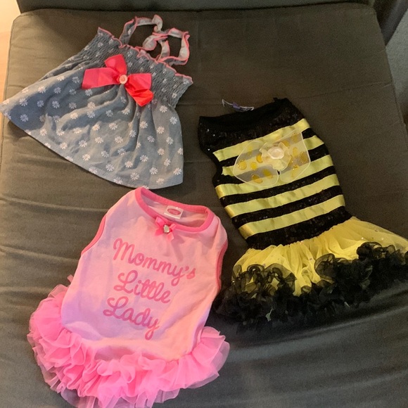 Lot of 3 Doggie Clothing used